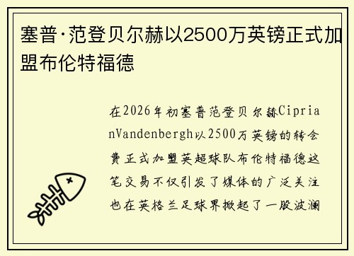 塞普·范登贝尔赫以2500万英镑正式加盟布伦特福德 塞普·范登贝尔赫以2500万英镑正式加盟布伦特福德