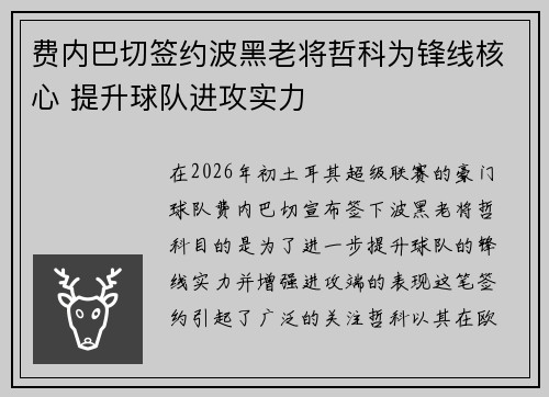 费内巴切签约波黑老将哲科为锋线核心 提升球队进攻实力