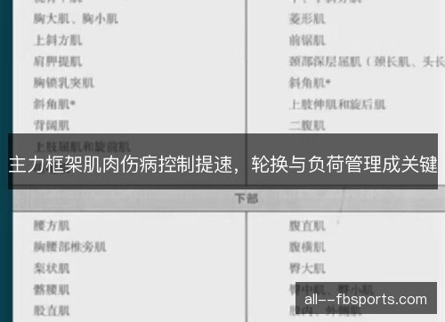 主力框架肌肉伤病控制提速，轮换与负荷管理成关键